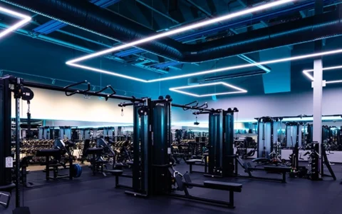 FitVantaa – Iron Paradise